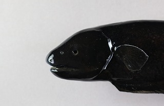 ブラックゴースト剝製アイキャッチ