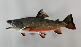 ブルックトラウト剝製アイキャッチ